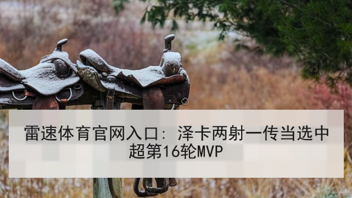 雷速体育官网入口: 泽卡两射一传当选中超第16轮MVP 雷速体育官网入口: 泽卡两射一传当选中超第16轮MVP