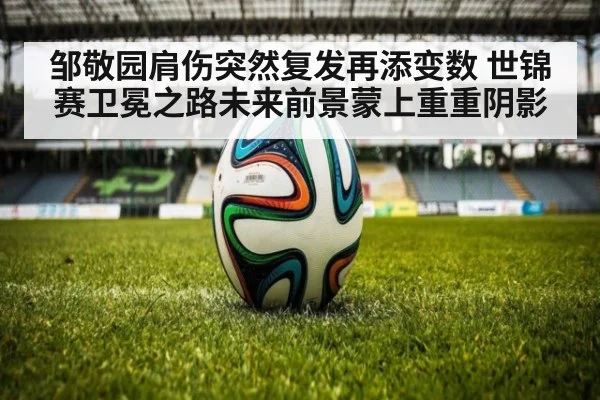 邹敬园肩伤突然复发再添变数 世锦赛卫冕之路未来前景蒙上重重阴影